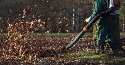 The Most Powerful Battery Leaf Blower In 2025: Great Models To Purchase & Guide