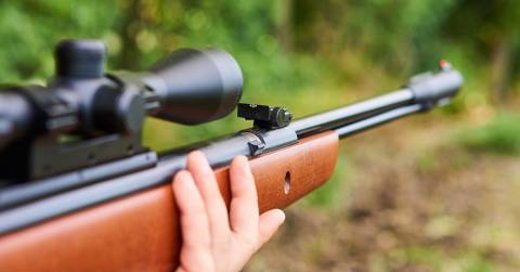 The Most Powerful Pump Air Rifle For 2024