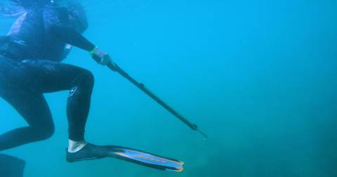 The Most Powerful Speargun To Buy You Should Know In 2025