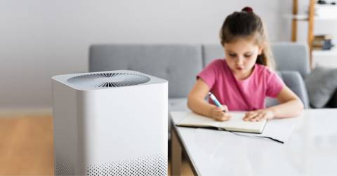 The Most Quiet Air Purifier We've Tested: Top Reviews By Experts