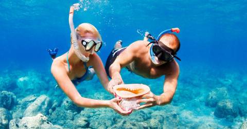 The New Snorkeling Mask Technology Of 2025: Reviews And Buyers Guide