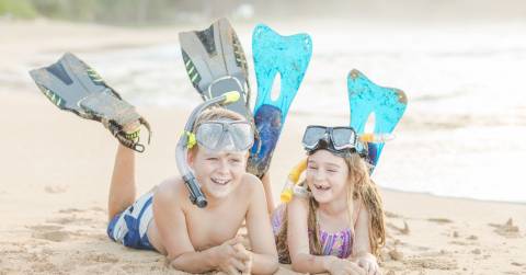 The Professional Snorkel Gear To Buy You Should Know In 2025