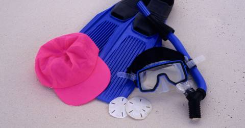 The Professional Snorkel Set: Best Choices For Shopping In 2025
