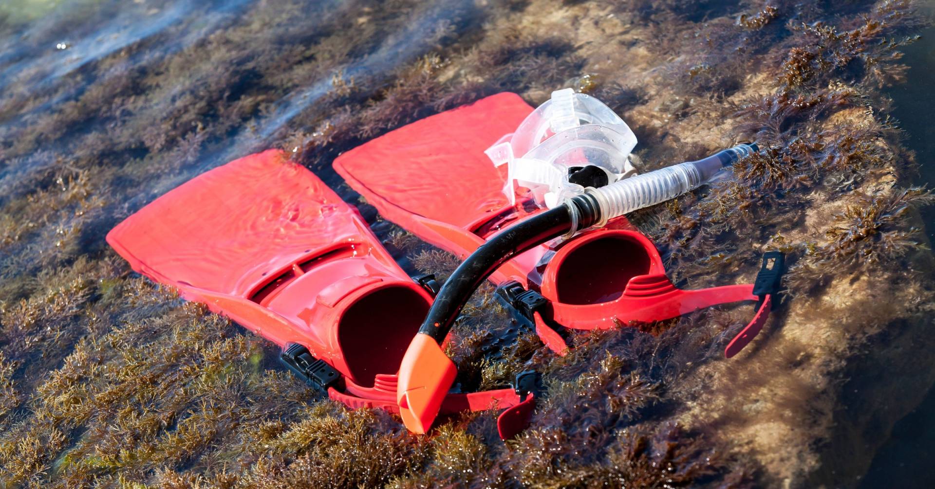 The Professional Snorkeling Gear We've Tested Top Reviews By Experts