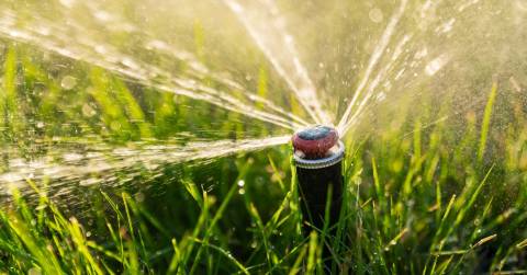 The Best Irrigation Systems For 2024