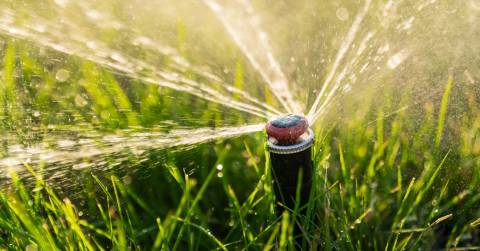 The Best Irrigation Systems For 2025