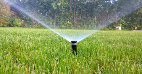 The 10 Best Sprinklers For Lawn Of 2024, Researched By Us