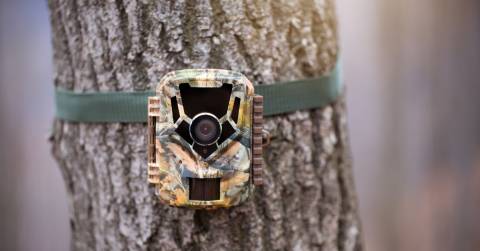 Top Best Trail Cameras With Wifi: Highly Recommended Of 2024