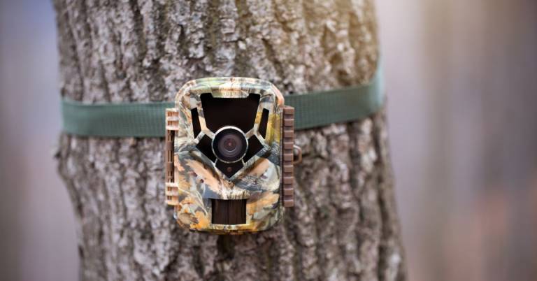 Best trail cameras with wifi