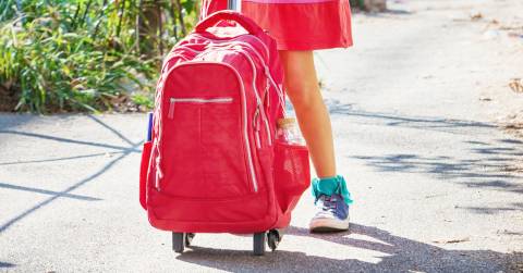 The Best Wheeled Carry On Backpack In The Word: Our Top Picks In 2024