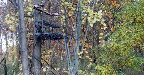 The 10 Tallest 2 Man Ladder Stand, Tested And Researched