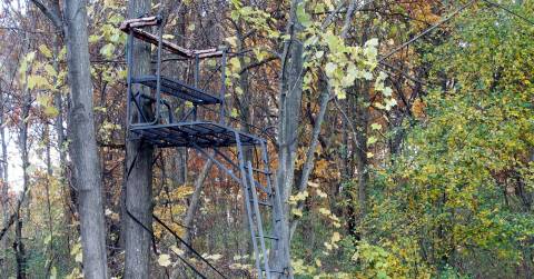 The 10 Tallest 2 Man Ladder Stand, Tested And Researched