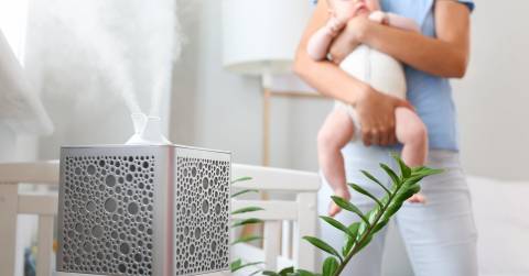 The Best Air Purifier And Humidifier For Baby In 2024