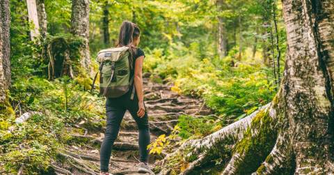 The Best Backpack With Cooler Compartment For 2025