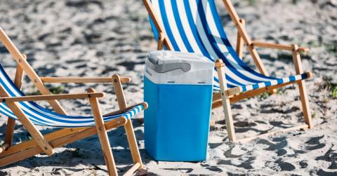 The Best Backyard Coolers For 2024