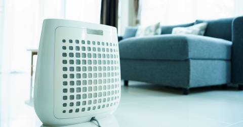 The Best Small Air Purifier For Allergies In 2024