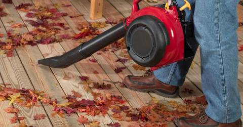 The Best Value Leaf Blower For 2025