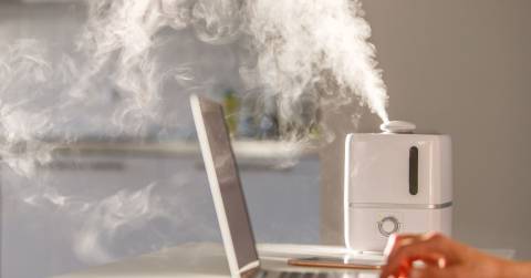The 7 Best Office Humidifier Of 2024, Tested By CampFireHQ