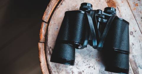The 7 Best 10x50 Binoculars Of 2025, Tested By CampFireHQ