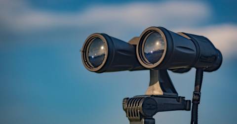 The Best 12x50 Binoculars For 2025
