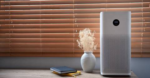 The Best Bedroom Air Purifier For Allergies In 2025