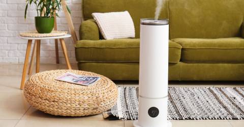 The Best Warm Air Humidifier For 2025