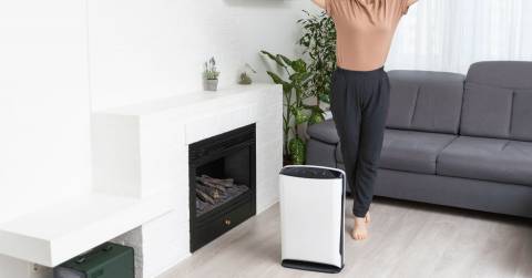 The Best Air Purifier For Pollen In 2025