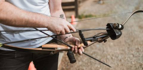 The Best Bows For Hunting: Highly Recommended Of 2025