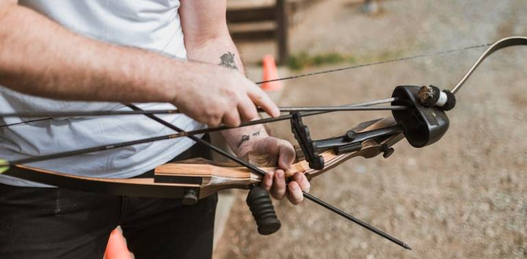 Best Bows For Hunting