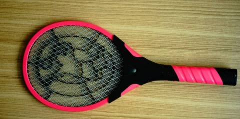 The Most Powerful Electric Fly Swatter For 2025