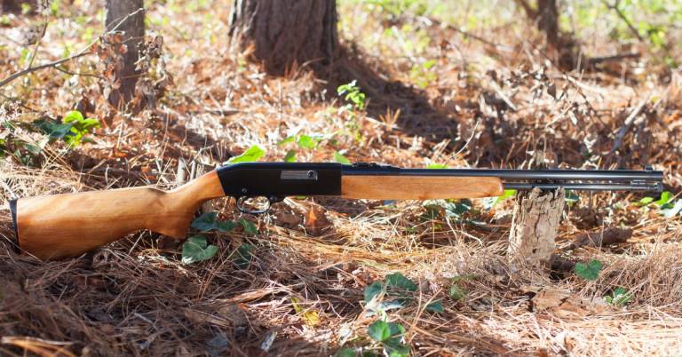 Best 25 Cal Air Rifle